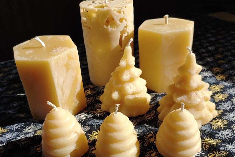 Forest Fringe Orchards