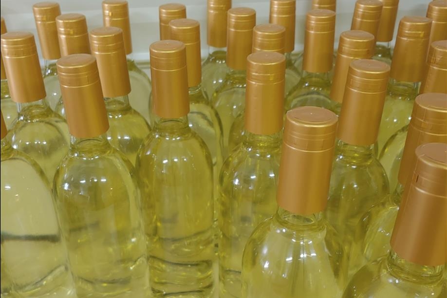 Forest Fringe Orchards