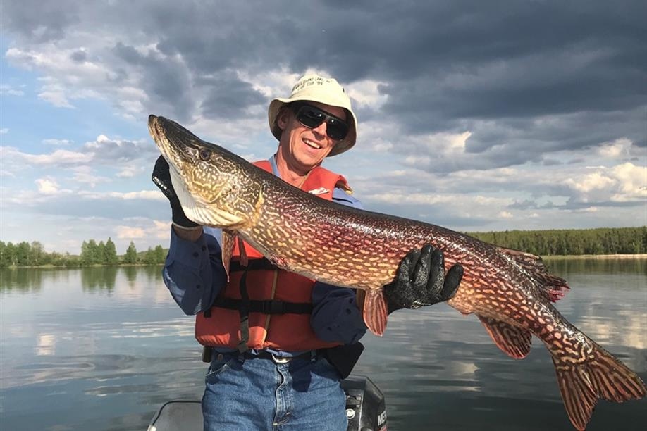 Forrest Lake Outfitters