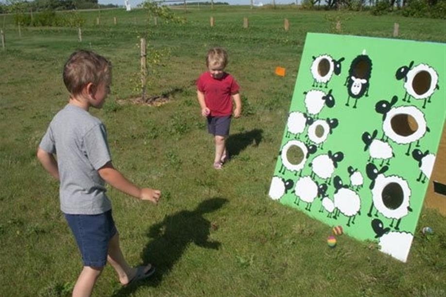 Forest Fringe Orchards - Bean Bag Toss