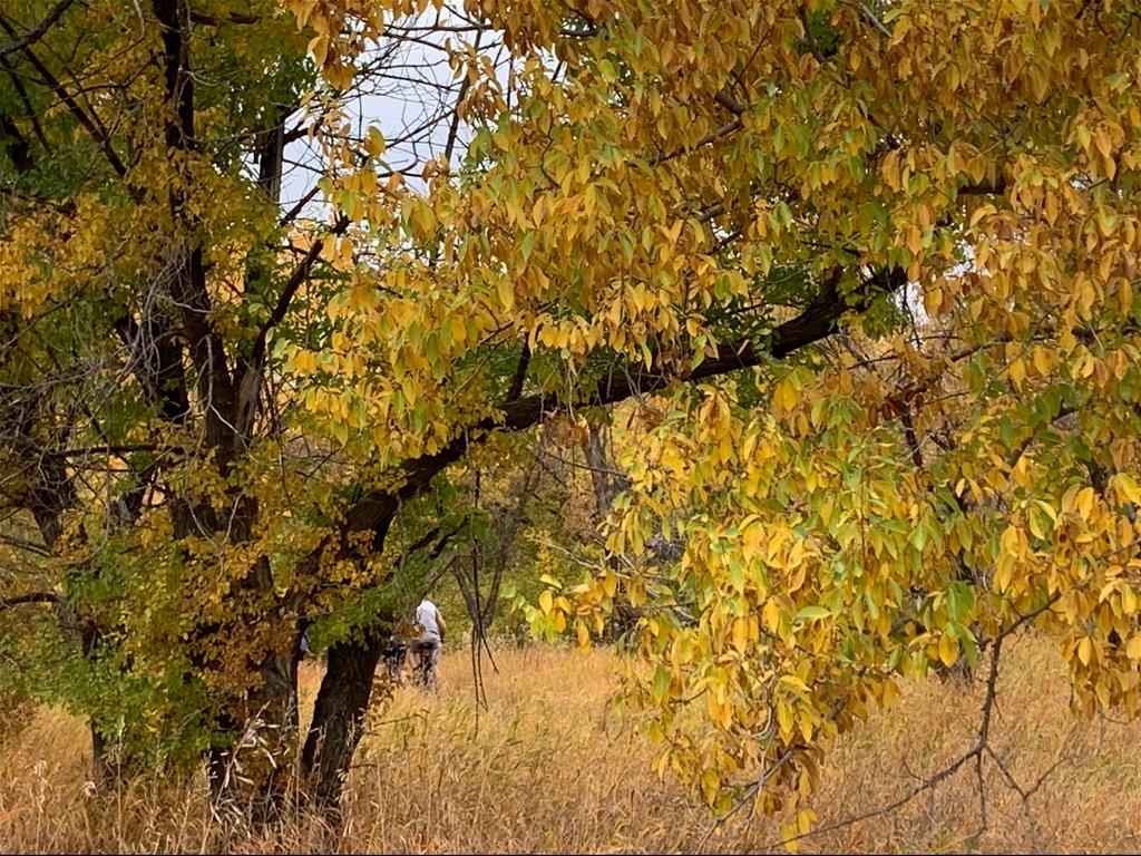 George Genereux Urban Regional Park