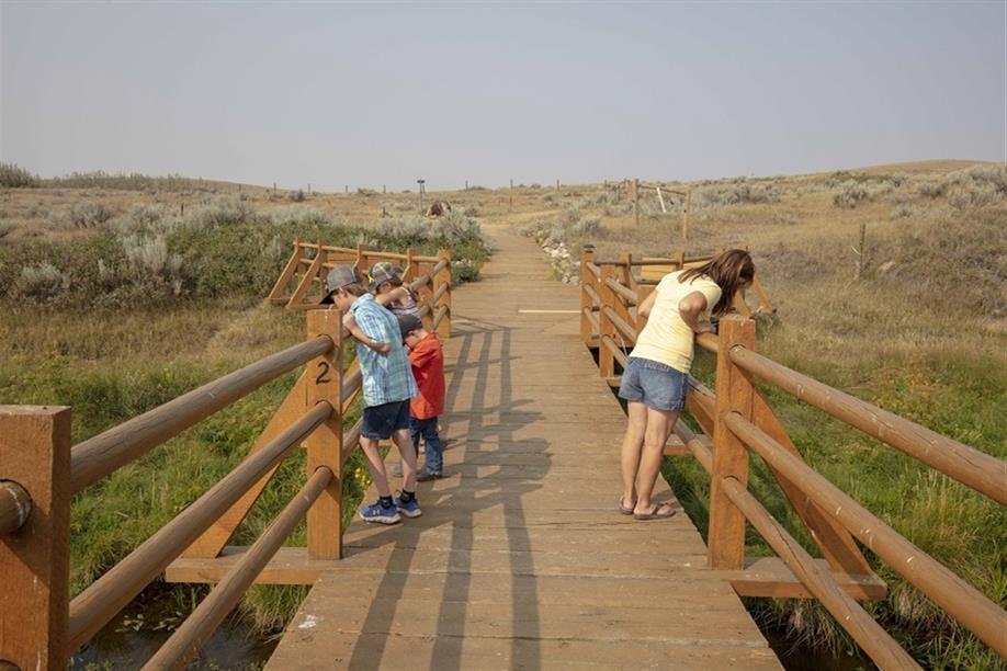 Photo: Parks Canada/Grasslands National Park