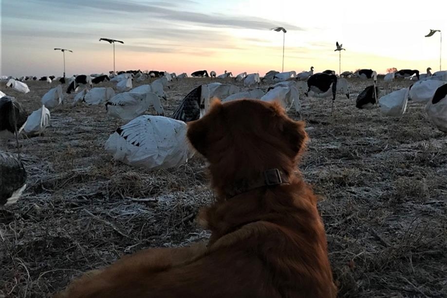 G & S Marina Outfitters