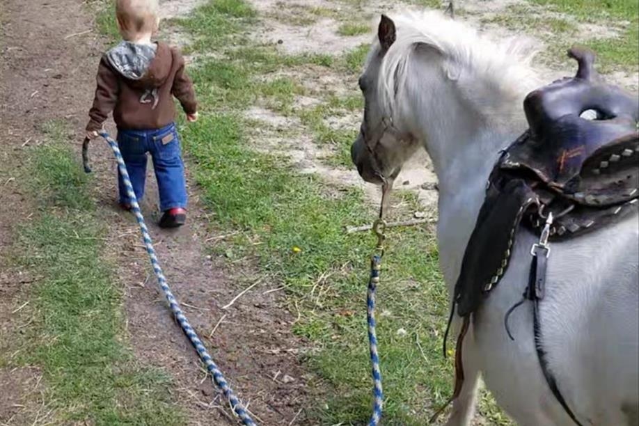 Good Spirit Petting Zoo