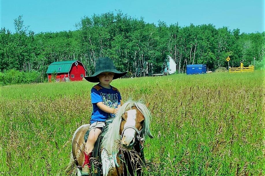Good Spirit Petting Zoo