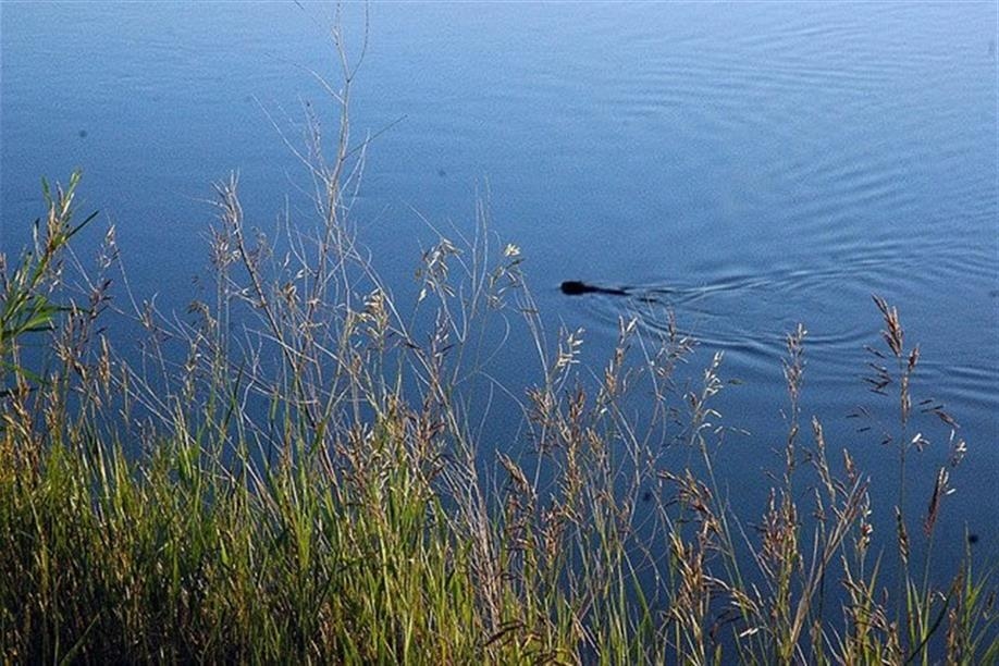 Maymont - Glenburn Regional Park Trails