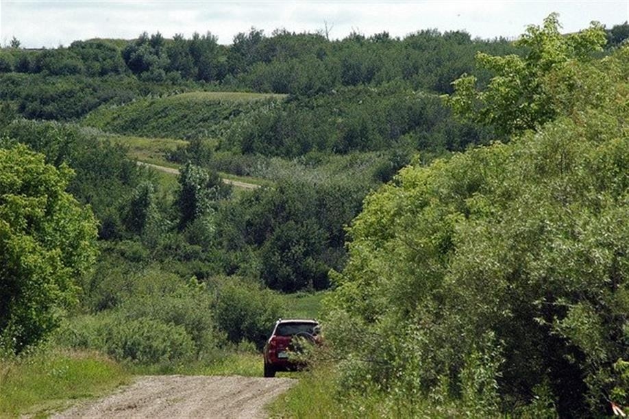 Maymont - Glenburn Regional Park Trails