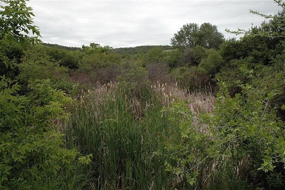 Maymont - Glenburn Regional Park Trails