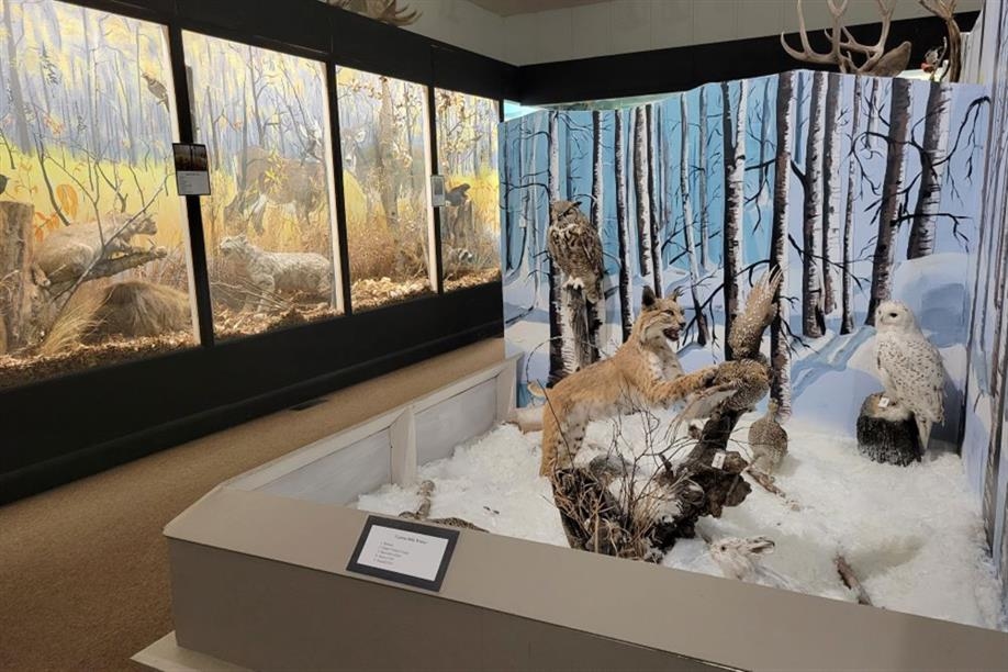 Grand Coteau Heritage & Cultural Centre