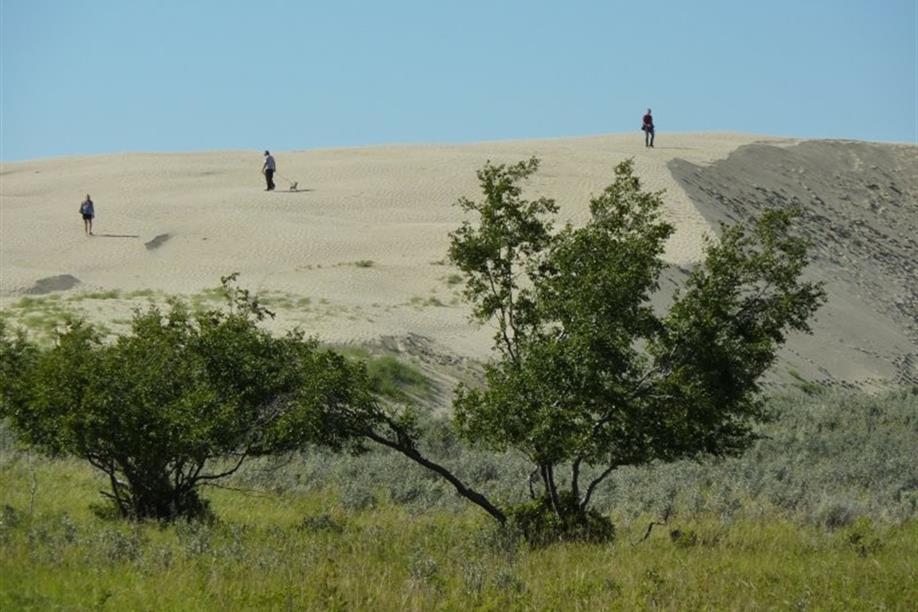 Great Sand Hills