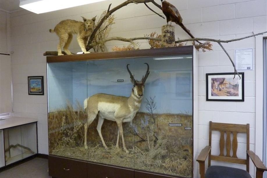 Great Sandhills Museum - Image: Kathy Rosenkranz