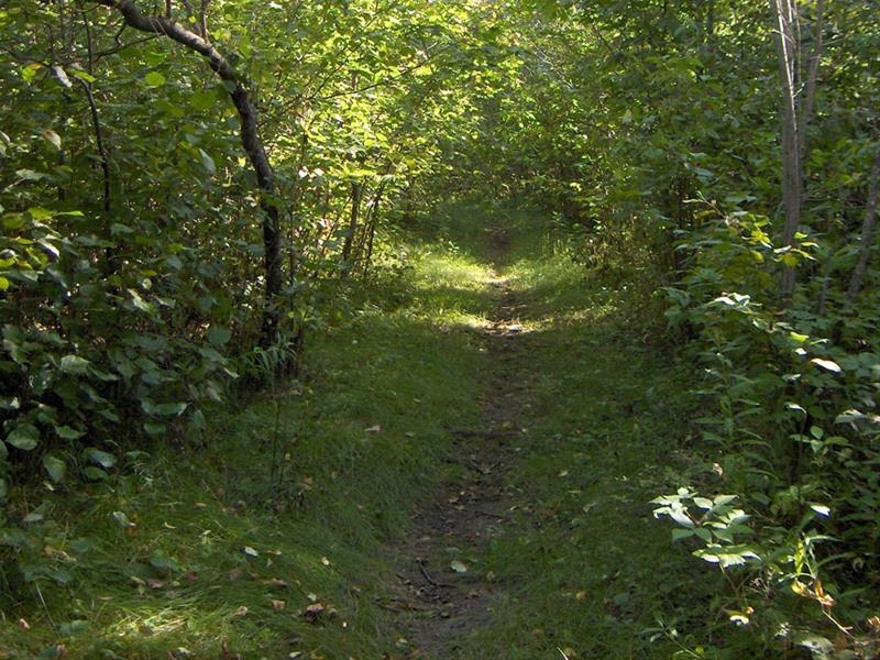 Hudson Bay Regional Park