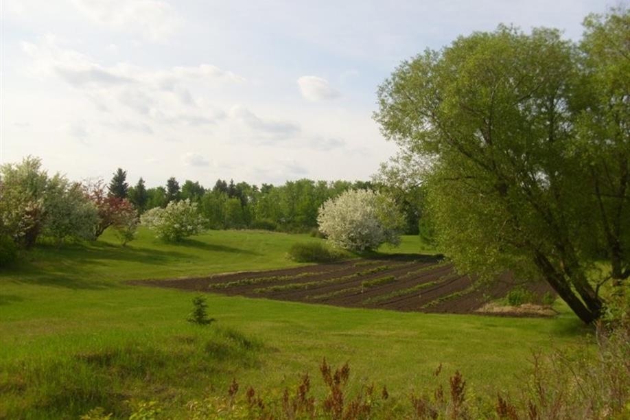 Honeywood (Dr A. J. Porter) Heritage Nursery - Porter Lily Field & Apple Blossoms