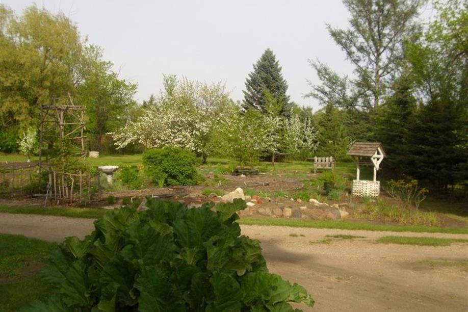 Honeywood (Dr A. J. Porter) Heritage Nursery - Irish Green Giant with Daku Garden