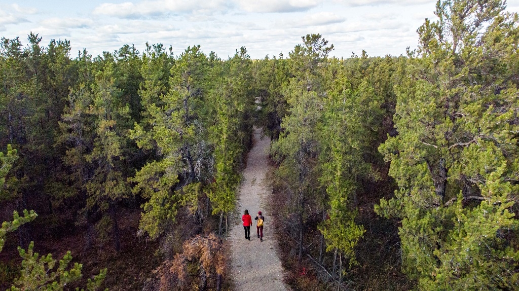 Hudson Bay-0841 - the town is home to a variety of trails including The Trail, a 7-km, pet-friendly trail