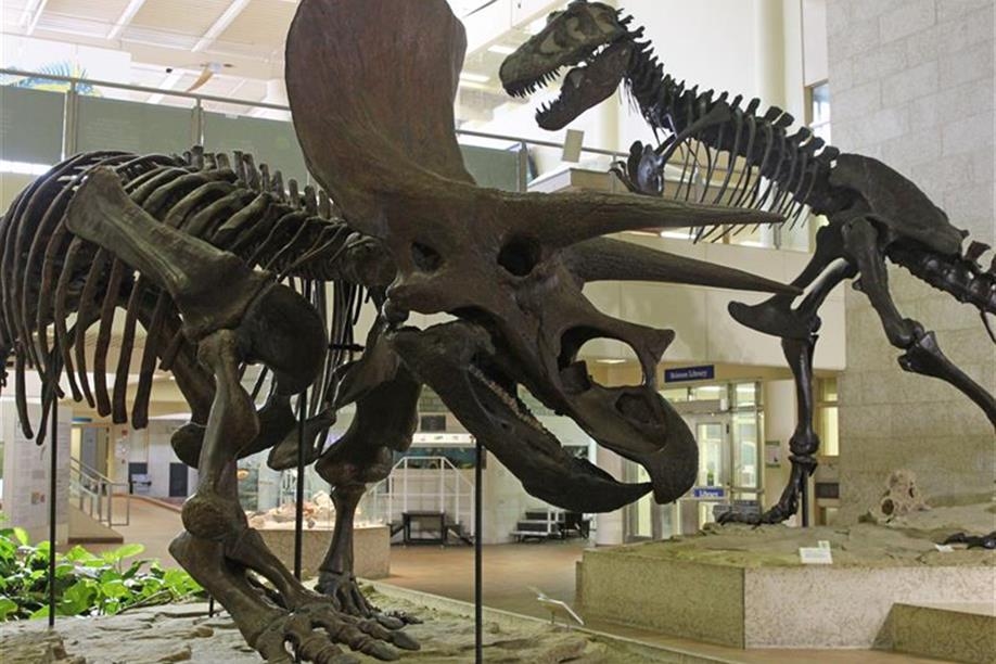 Museum of Natural Sciences