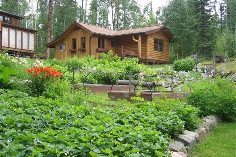 Forest House Wilderness Lodge