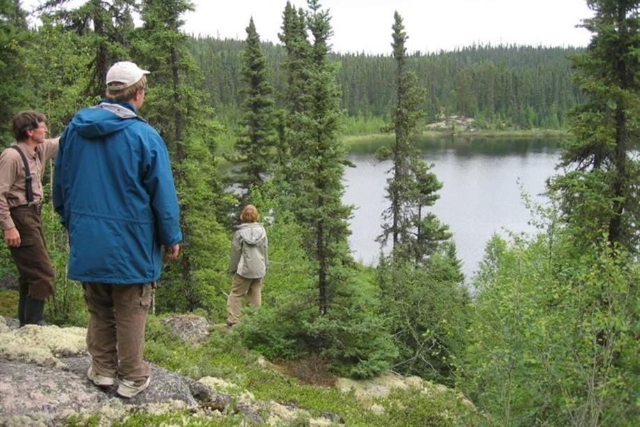 Forest House Wilderness Lodge