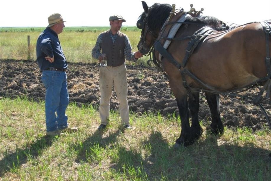 Your own land... only ten dollars... you're no farmer... you make mistakes...you learn.
