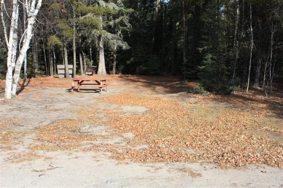 Jan Lake Trading Post Ltd - 'Campsite across from day parking'