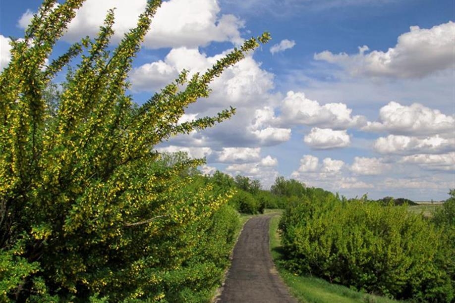 Kindersley Regional Park
