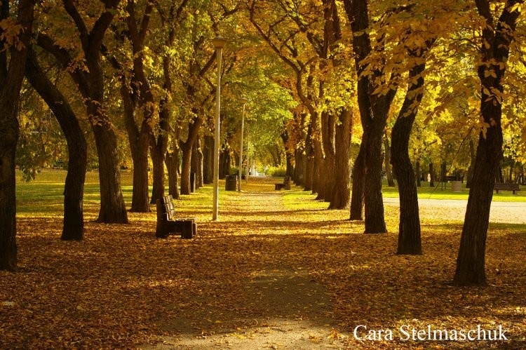 Kinsmen Park in September