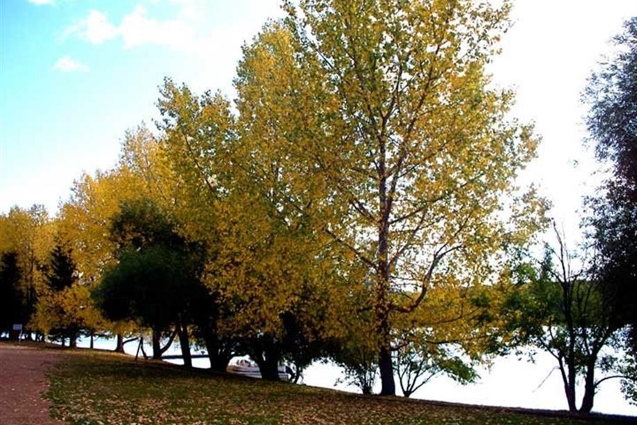 Kipabiskau Regional Park