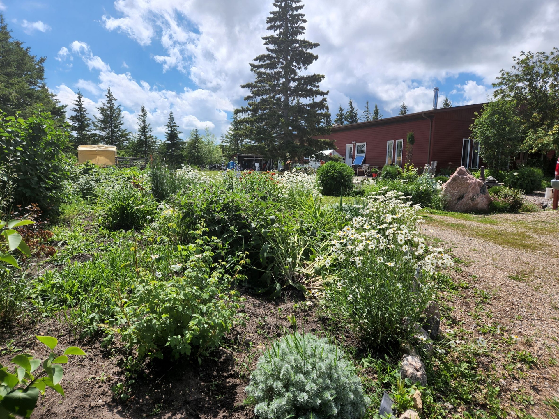 Kuroki - The Old School Bed & Breakfast