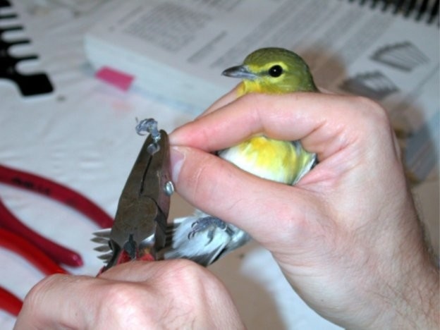 Last Mountain Lake National Wildlife Area