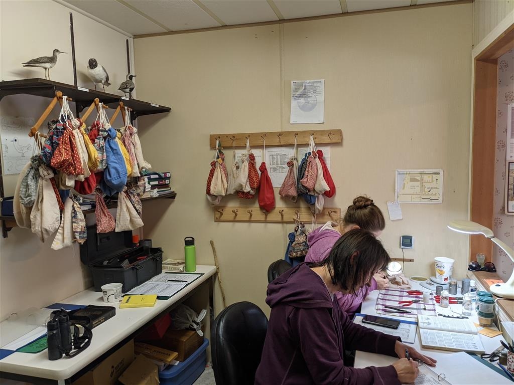 Last Mountain Bird Observatory