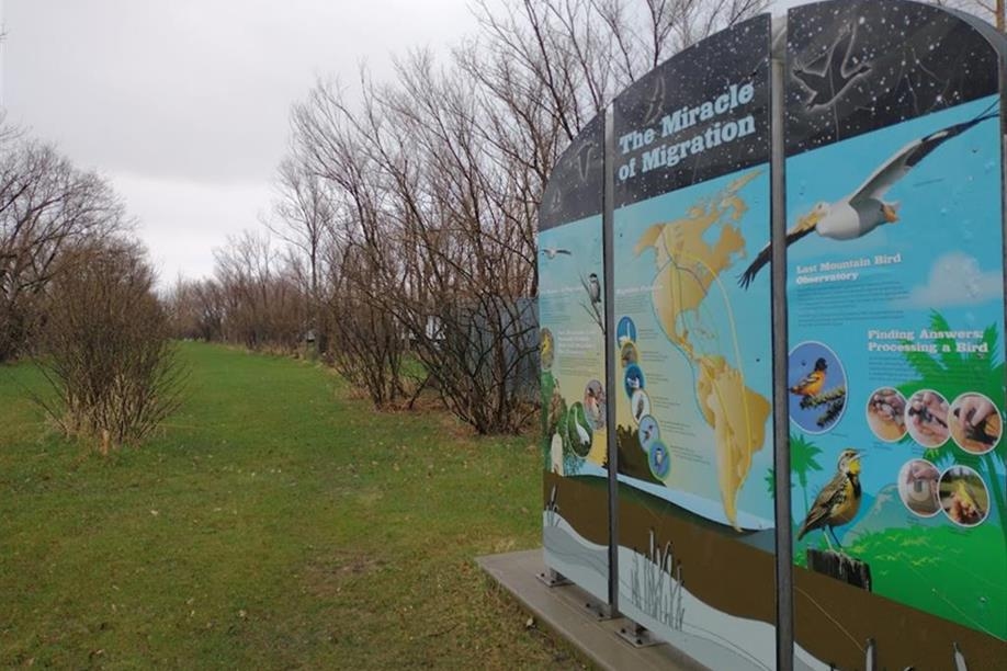 Last Mountain Bird Observatory