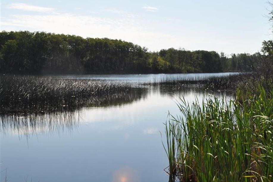 Sturgis & District Regional Park - Lady Lake