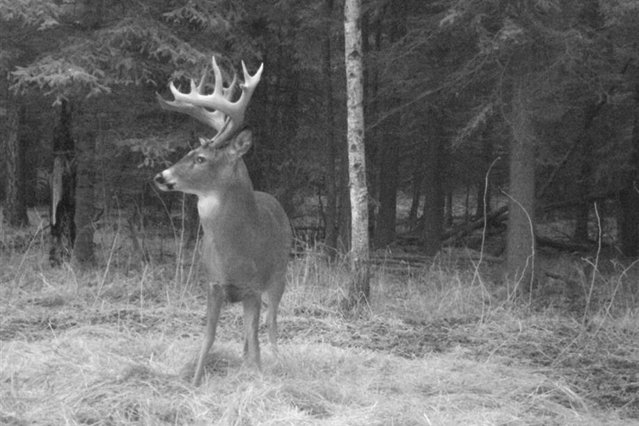 Larson Lake Outfitters