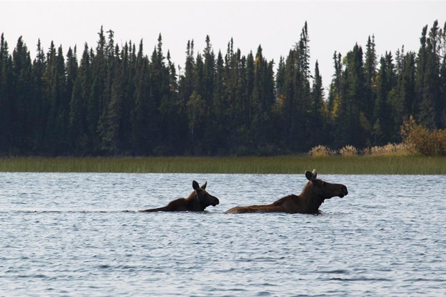 Lawrence Bay Lodge & Airways