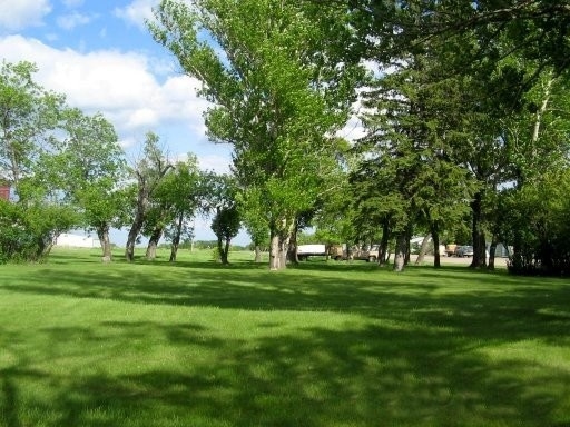 Lemberg - Camping area