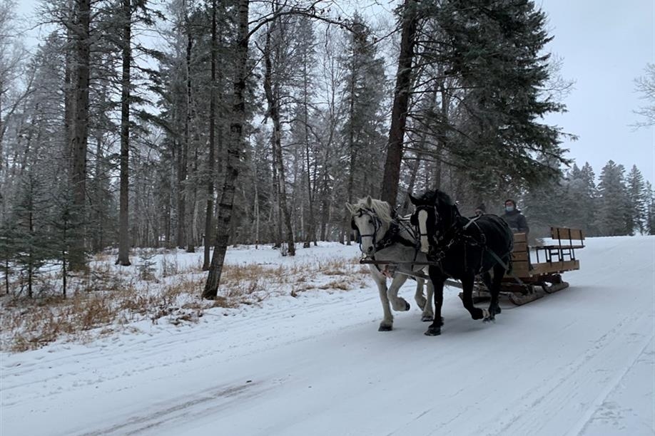 Madge Lake Riding Stables