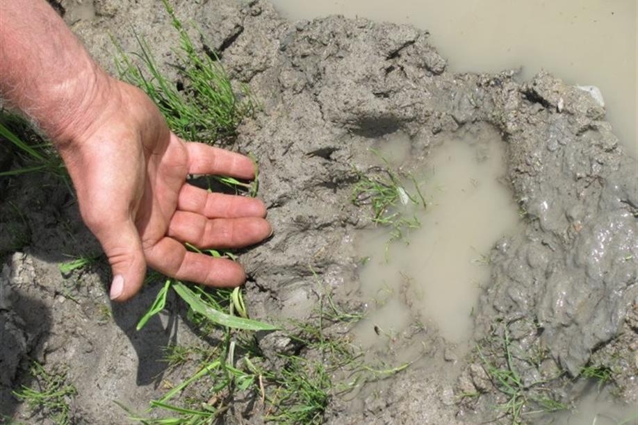 Makwa River Outfitters Ltd - Big Bear Print in Mud