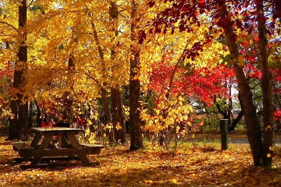 Manitou & District Regional Park