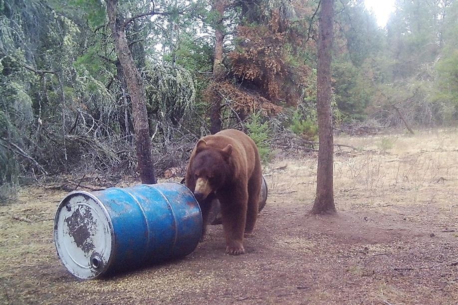 Marshland Outfitters