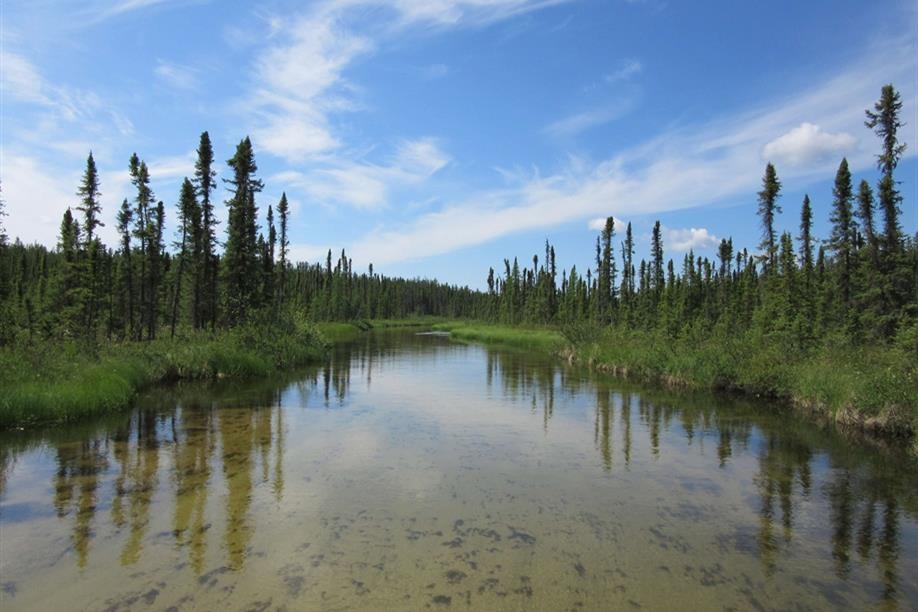 Mawdsley Lake Fishing Lodge