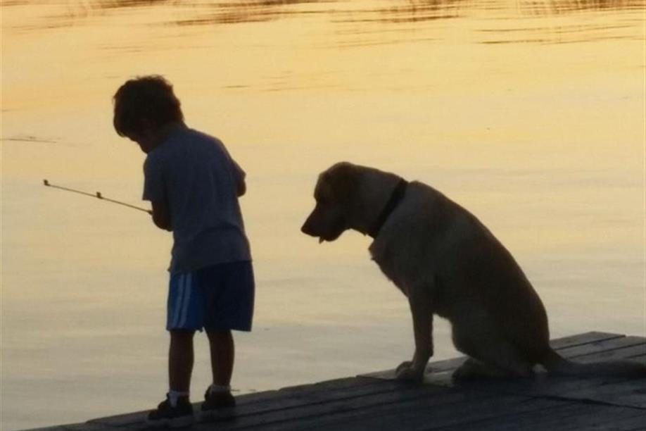 Meeting Lake Regional Park