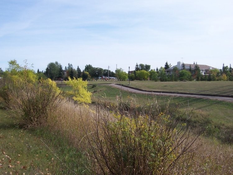 Melville Walking Tail