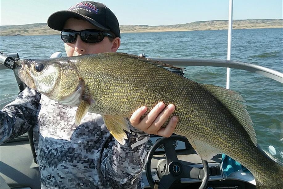 High Plains Outfitting