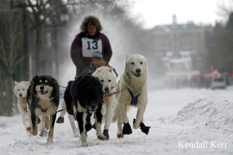 Prince Albert - Mush