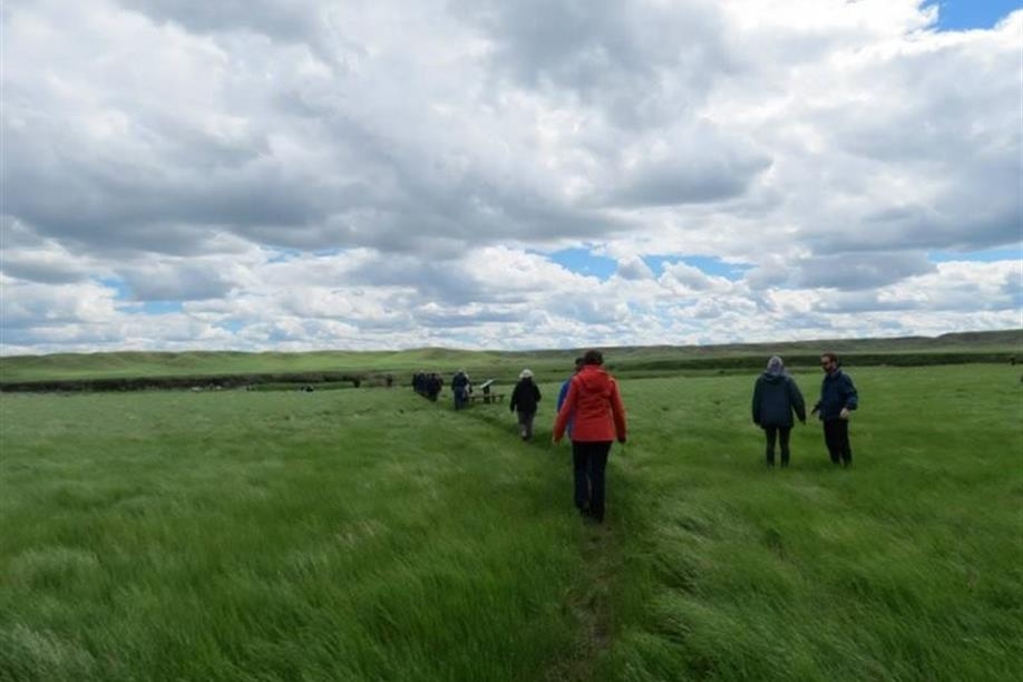 At Grasslands National Park