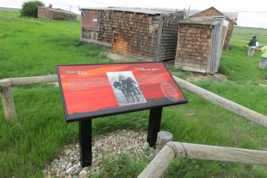 At Grasslands National Park