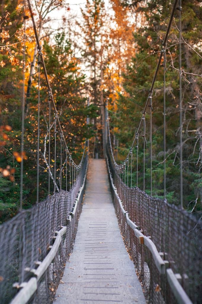 Nipawin Regional Park - Suspension Bridge