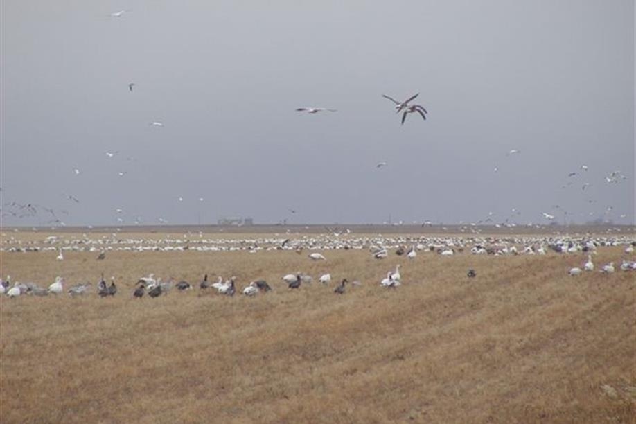 Norland Creek Outfitters