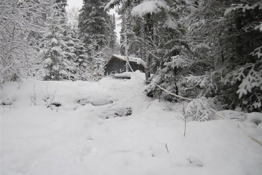 North Wild Life Camps