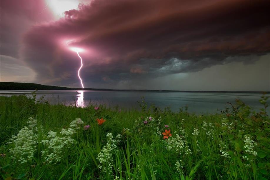 All in the Wild Gallery - Waskesiu